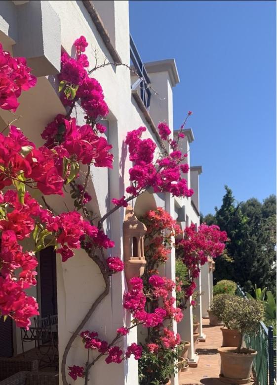 Boutique Hotel Maravilla - Marbella Benahavís Dış mekan fotoğraf