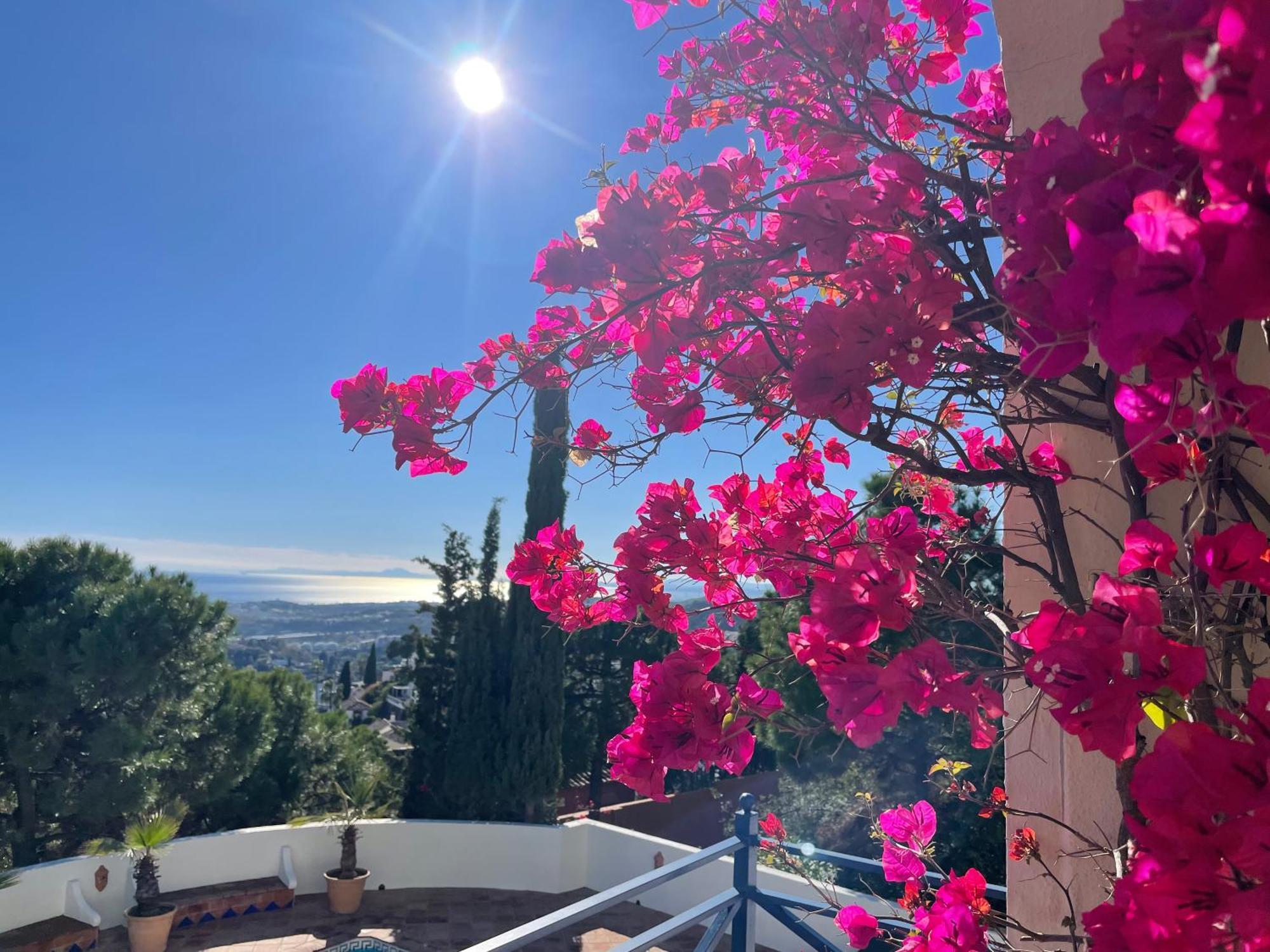 Boutique Hotel Maravilla - Marbella Benahavís Dış mekan fotoğraf