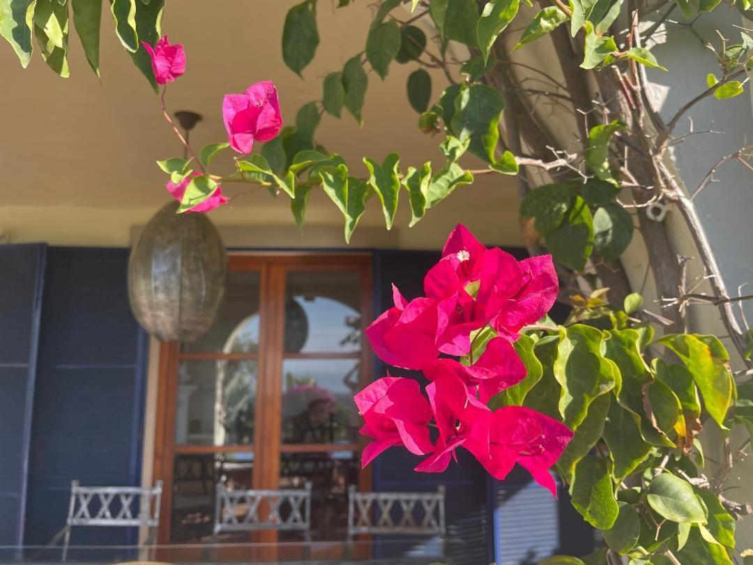 Boutique Hotel Maravilla - Marbella Benahavís Dış mekan fotoğraf