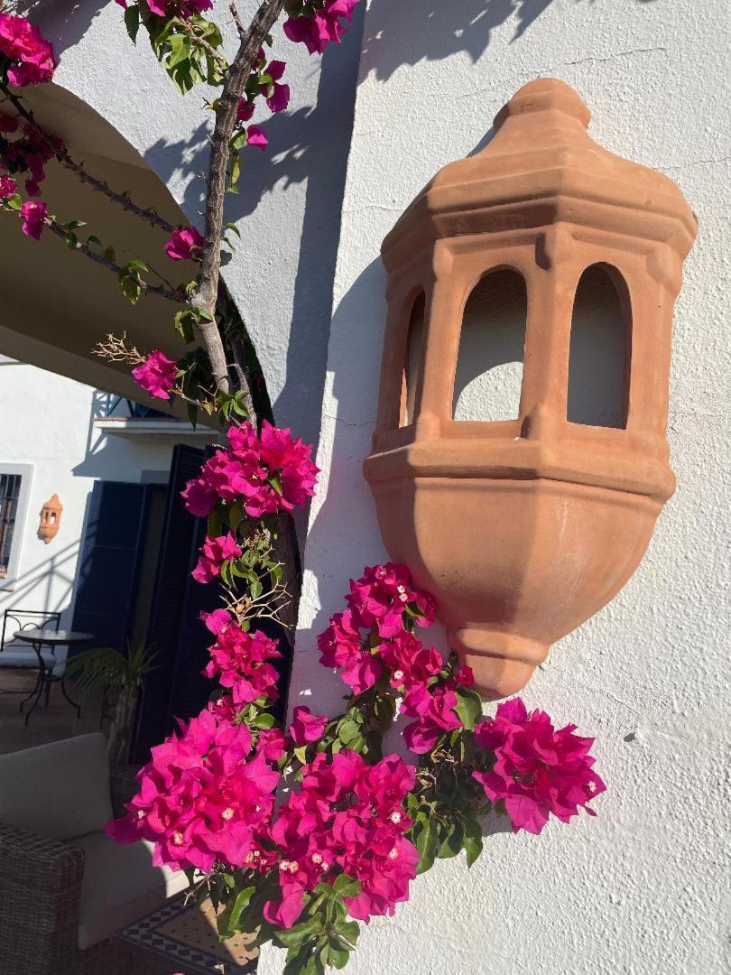 Boutique Hotel Maravilla - Marbella Benahavís Dış mekan fotoğraf