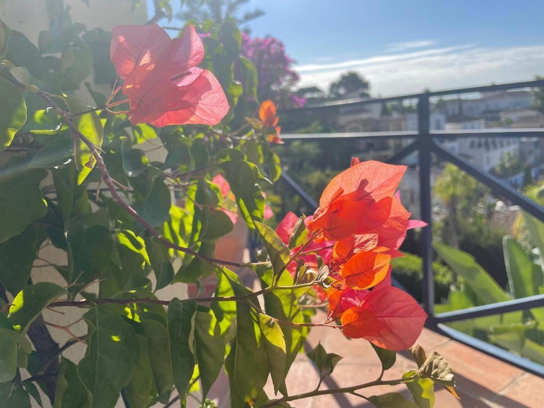 Boutique Hotel Maravilla - Marbella Benahavís Dış mekan fotoğraf