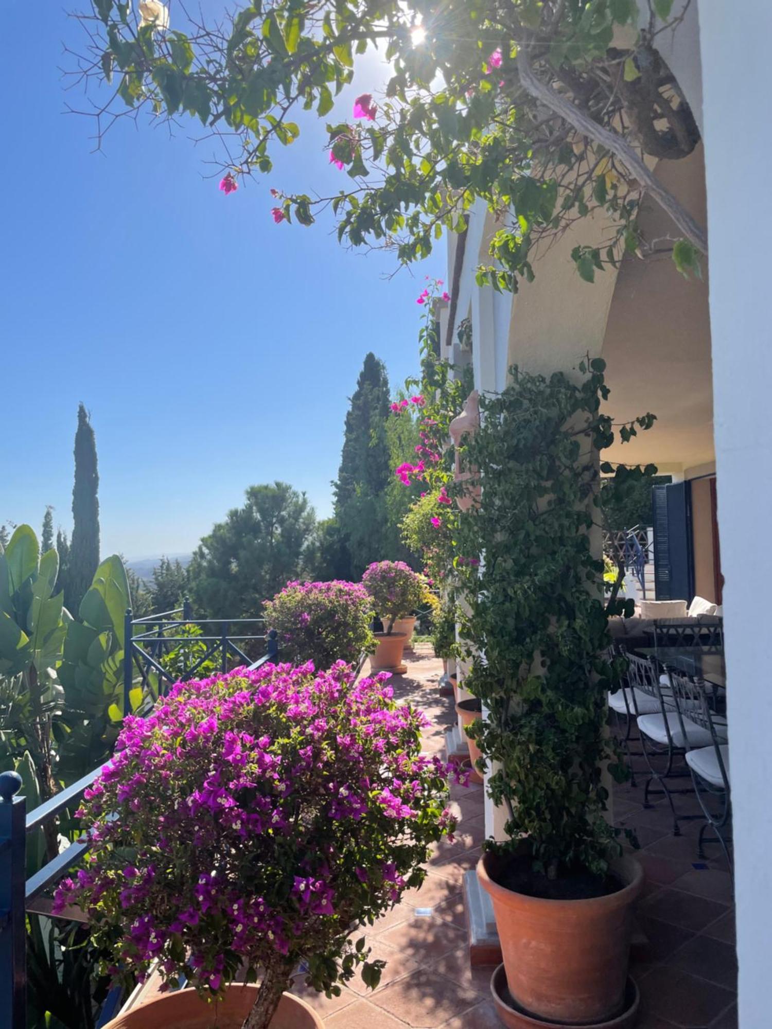 Boutique Hotel Maravilla - Marbella Benahavís Dış mekan fotoğraf